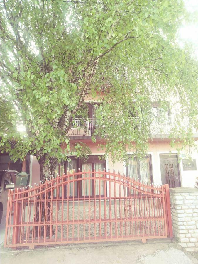 Apartment Terra & Boat Trip Bihac Bagian luar foto